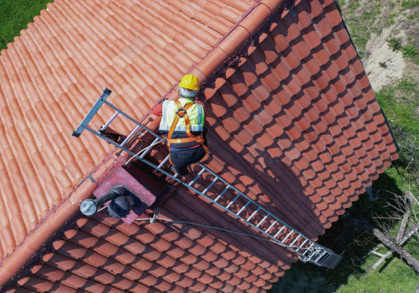 Best Gutter Replacement  in Belding, MI