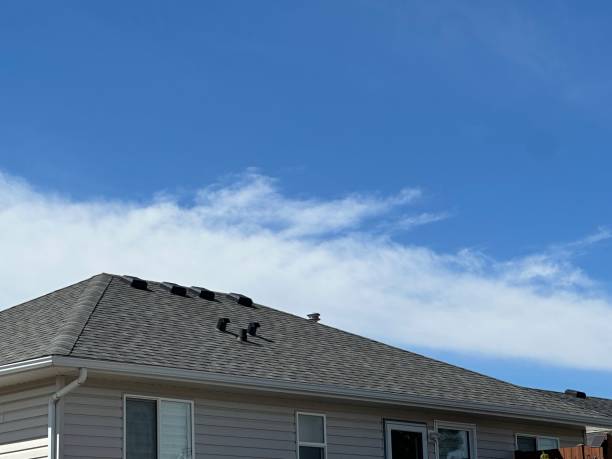 Best Roofing for New Construction  in Belding, MI